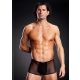 Micro Mesh Trunk Black S/M