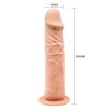 Barbara Calvin 8,3 " Dildo with Suction Cup