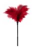 GP Small Feather Tickler Red