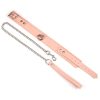 Pink Organosilicon Collar with Leash