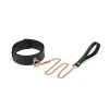 Black Organosilicon Collar with Leash