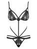 Wonderia teddy black  S/M