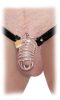 Extreme Chastity Belt  Silver/Black