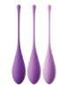 Kegel Train-Her Set  Purple