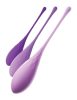 Kegel Train-Her Set  Purple