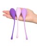 Kegel Train-Her Set  Purple