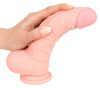 Medical Silicone Dildo 3