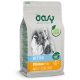 Oasy Lifestage Cat Kitten Chicken 300G