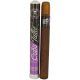 Cuba Tattoo EDP W 35ml
