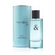 Tiffany & Co. Tiffany & Love For Him eau de toilette for men 90 ml